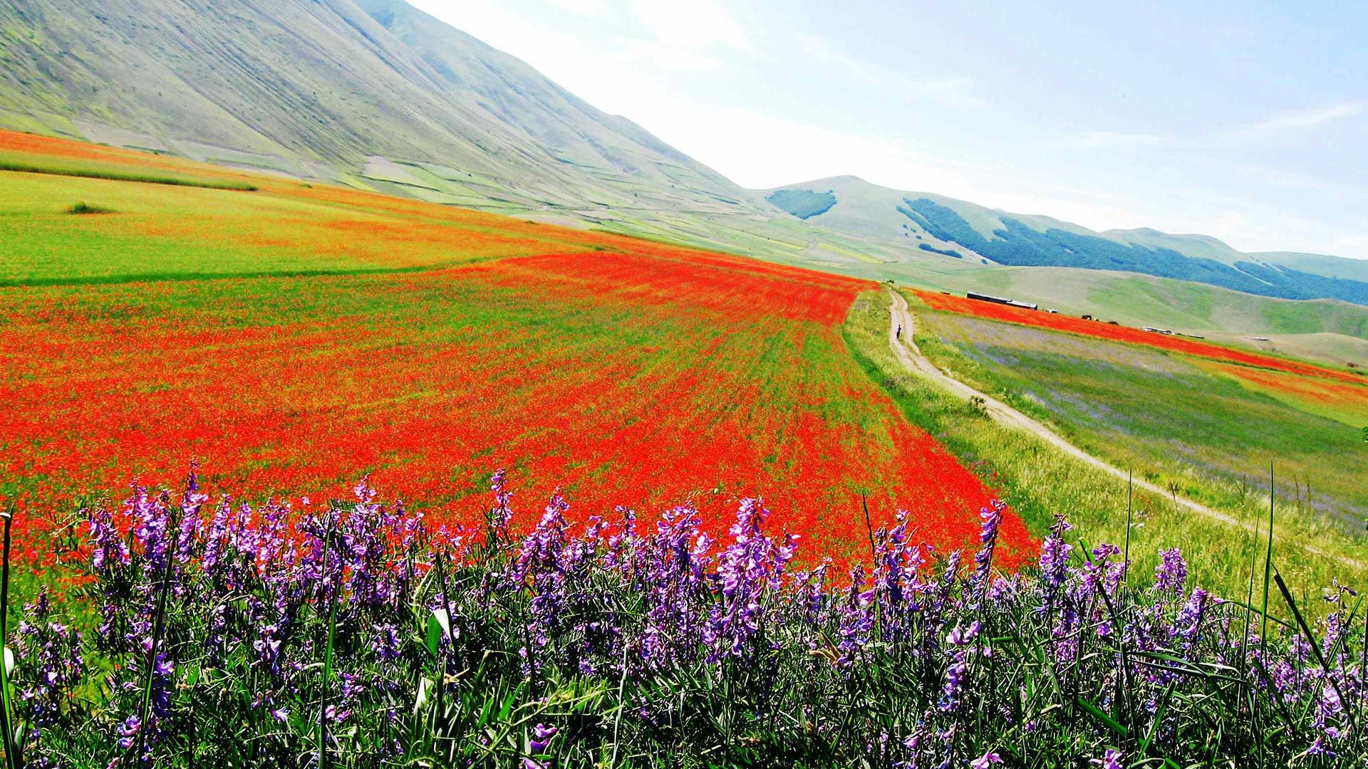 ascoli tour guide trekking parchi nazionali